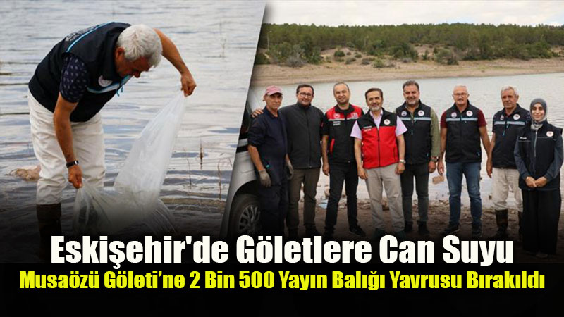 Musaözü Göleti’nde Biyoçeşitlilik Güçleniyor: 2.500 Yayın Balığı Yavrusu Salındı