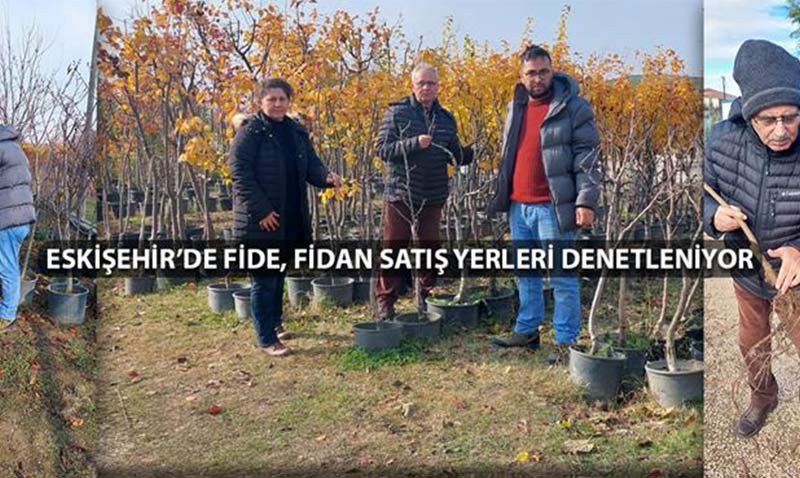 Eskişehir’de fide, fidan satış yerleri denetleniyor