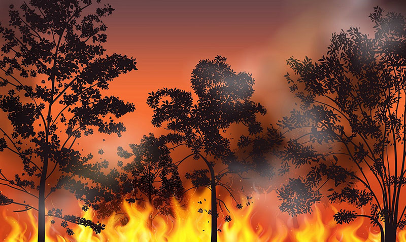 Orman yangnlarnn yzde 78i scakln en yksek olduu saatlerde kyor!