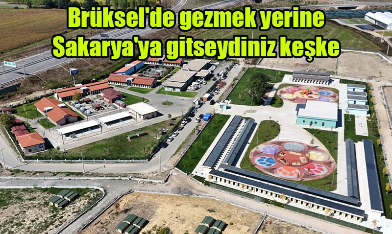 Sokak hayvanları sorununa ilk ve örnek adım Sakarya’dan