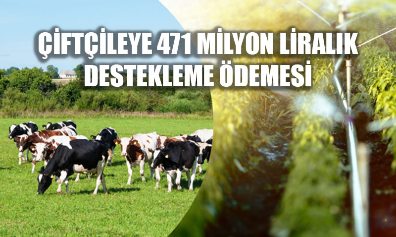 471 Milyon Liralık Tarımsal Destekleme Ödemesi Çiftçilerin Hesaplarında