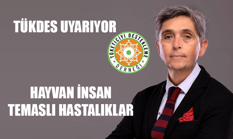 Hayvan ve Vektör Kaynaklı Hastalıklar: Zoonozlar ve Korunma Yolları