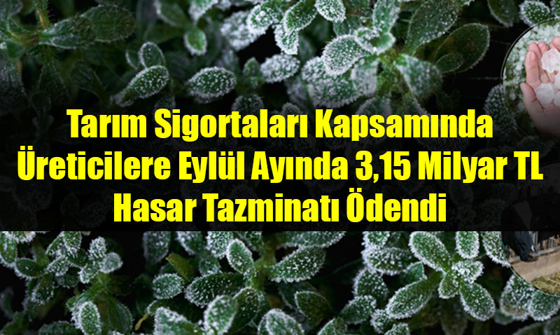 Üreticilere Eylül Ayında 3,15 Milyar TL Hasar Tazminatı Ödendi