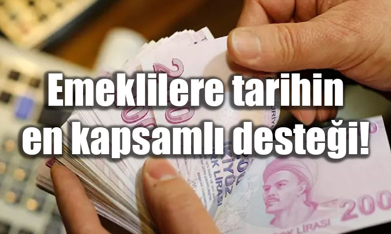 Trkiye’de Emeklilere ve Yallara Ynelik Destek Programlar zeti