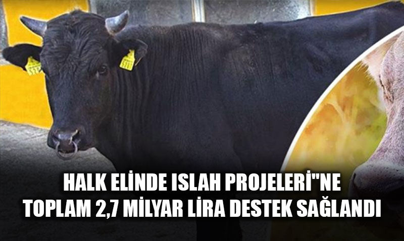 Tarm ve Orman Bakanl’ndan Yerli Irklara Byk Destek: 2,7 Milyar Lira Katk