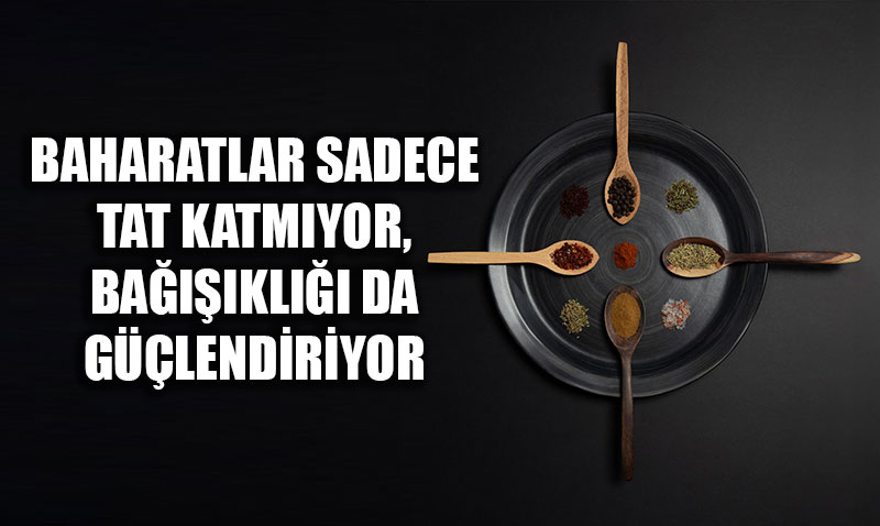 K Aylarnda Baharat Kullanm Neden Artrlmal? Dr. mit Akta Aklad