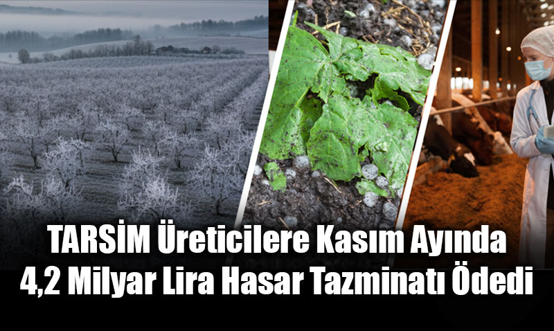 TARSM reticilere Kasm Aynda 4,2 Milyar Lira Hasar Tazminat dedi