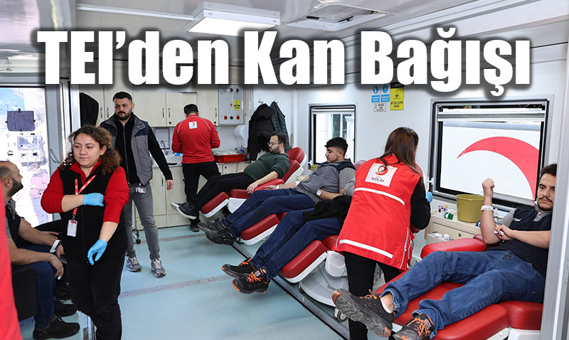 TEIden Trk Kzlaya Dzenli Kan Ba Destei