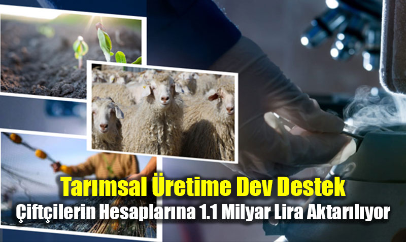 Tarmsal retime Dev Destek: iftilerin Hesaplarna 1.1 Milyar Lira Aktarlyor