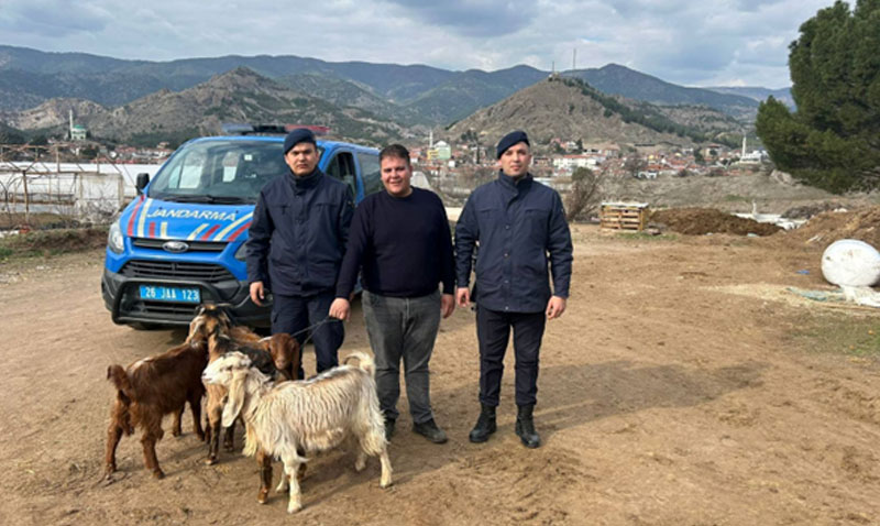 Eskiehirde Kaybolan Kkba Hayvanlar Jandarma Tarafndan Bulundu!