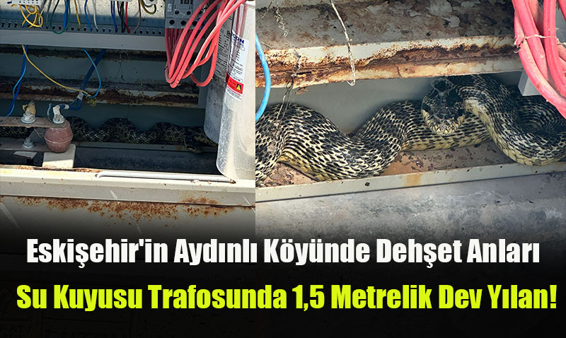 Eskişehir’in Aydınlı Köyünde Dehşet Anları