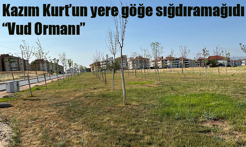 "Git VUD Ormanı’nda Piknik Yap!"