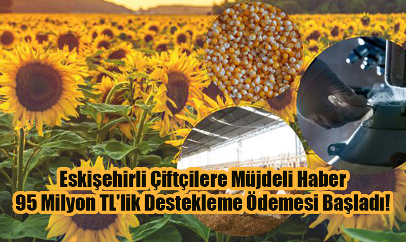 Eskişehirli Çiftçilere 95 Milyon TL’lik Destekleme Ödemesi
