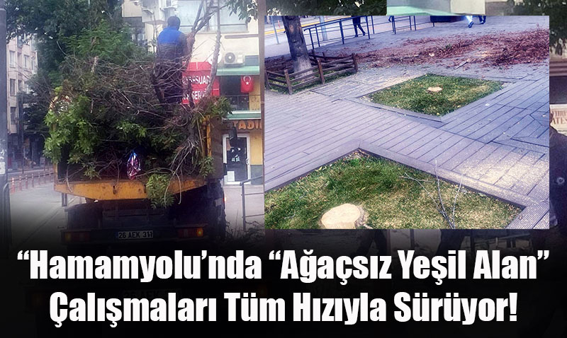 Başkan Vural’dan Hamamyolu’ndaki Ağaç Kesimine Sert Tepki