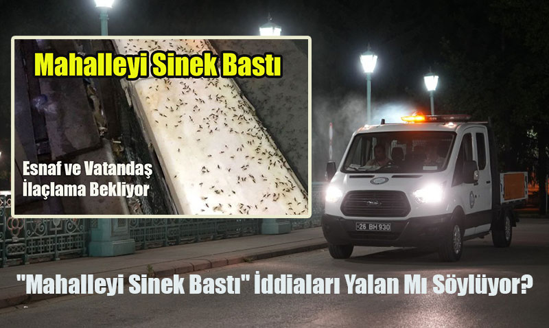 Eskişehir’de Sinek Mücadelesi: "Mahalleyi Sinek Bastı" İddiaları Yalan Mı Söylüyor?