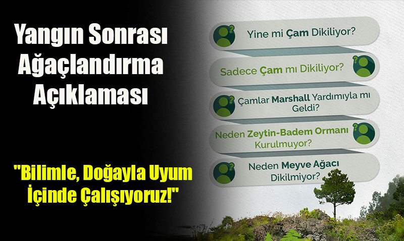 Orman Genel Müdürlüğü’nden Yangın Sonrası Ağaçlandırma Açıklaması