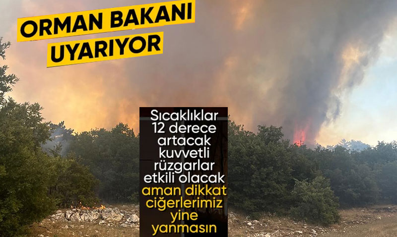 İbrahim Yumaklı’dan Yangın Uyarısı: "Yeşil Vatan’ı Korumak İçin Duyarlılık Şart!"