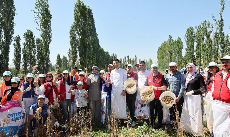 Genç Gönüllüler Hasat İçin Tarım Alanlarında