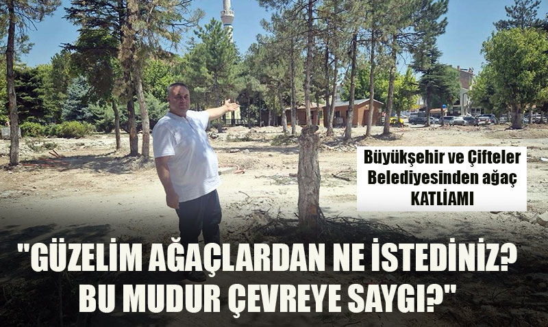 Albayraktan CHPli belediyelere sert tepki: Güzelim ağaçlardan ne istediniz?