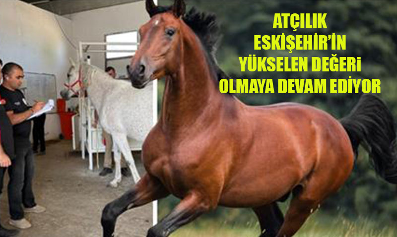 Atçılık Eskişehir’in Yükselen Değeri Olmaya Devam Ediyor