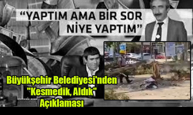 Çifteler’deki Ağaç Katliamına ’Banker Bilo’ Savunması