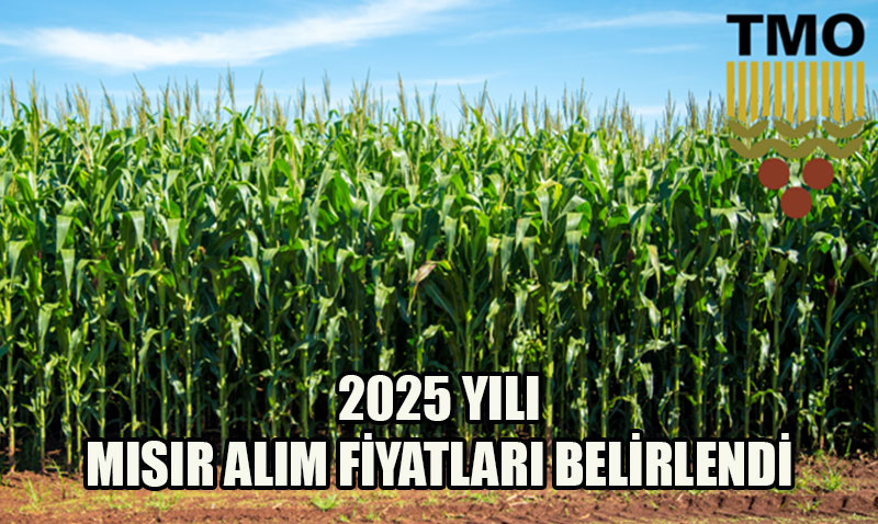TMO 2025 Yl Msr Alm Fiyatn Belirledi