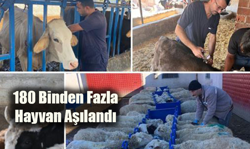 Eskiehir’de ap Hastalyla Mcadele Devam Ediyor