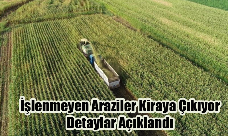 İşlenmeyen Araziler Kiraya Çıkıyor: Detaylar Açıklandı