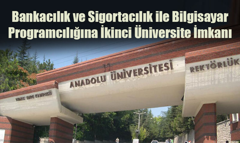Bankaclk ve Sigortaclk ile Bilgisayar Programclna kinci niversite mkan