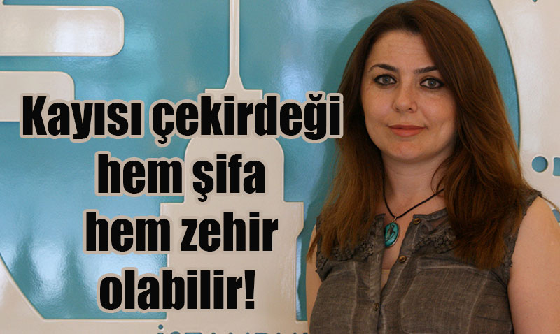 Kayısı Çekirdeği: Şifa mı, Zehir mi? Uzmanlar Uyarıyor