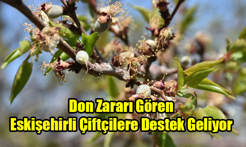 Don Zararı Gören Eskişehirli Çiftçilere Destek Geliyor