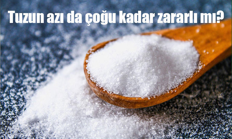 Tuzun Azı da Çoğu Kadar Zararlı mı? Uzmanlar Tartışıyor