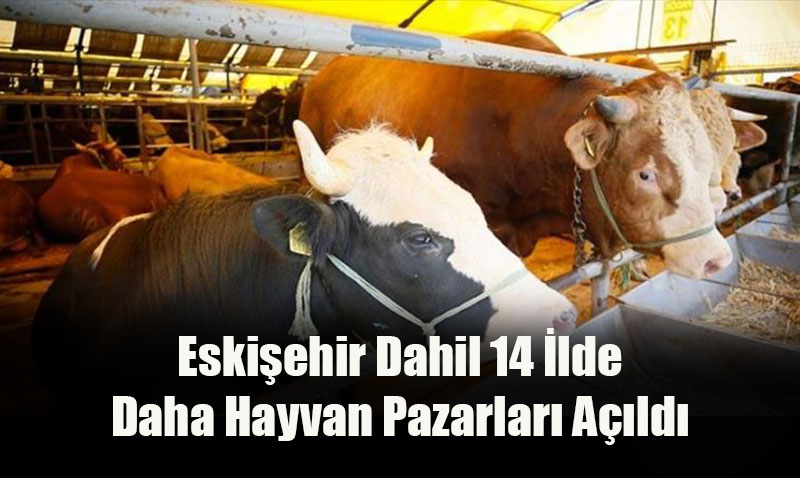 Eskişehir Dahil 14 İlde Daha Hayvan Pazarları Açıldı