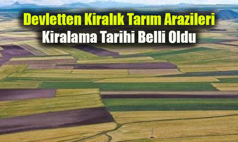 Devletten Kiralık Tarım Arazileri: Kiralama Tarihi Belli Oldu