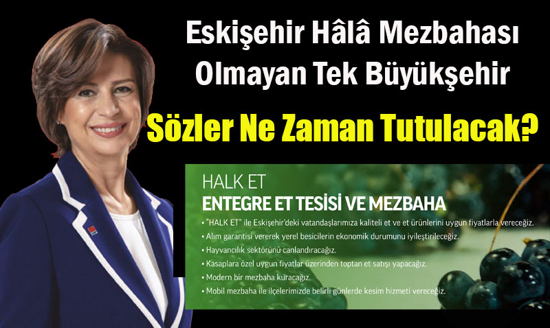 Eskişehir Hâlâ Mezbahası Olmayan Tek Büyükşehir
