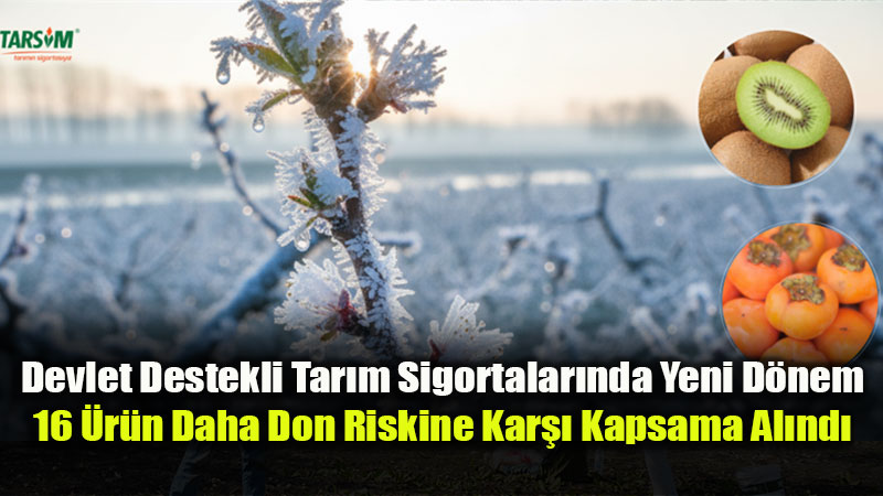 TARS�M 2027 Yenilikleri Duyuruldu: �anl�urfa ve Kayseri�de Pilot Uygulama Ba�l�yor