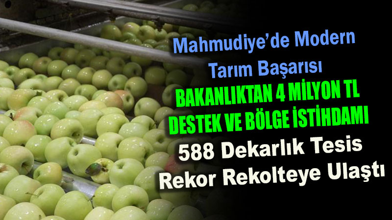 Eski�ehir�de 2 Bin Bin Tonluk Elma �retimi: Gala Ve Granny �e�itleri Yurt D���na G�nderiliyor