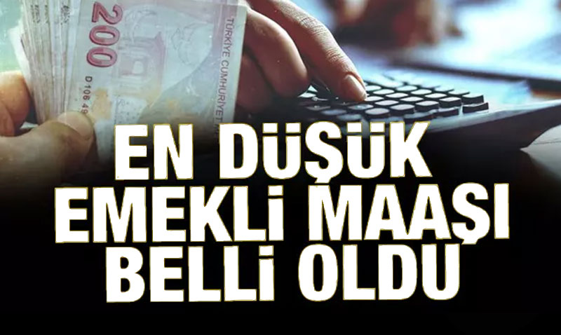 Emekliye Ocak M�jdesi: En D���k Emekli Maa�� 20 Bin TL Oldu!
