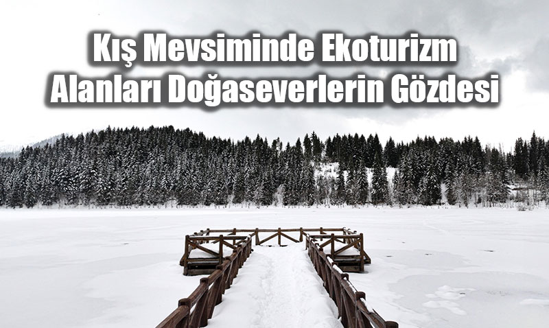 Do�aya D�n���n Adresi: K���n Beyaz �rt�s�yle Ekoturizm Alanlar�