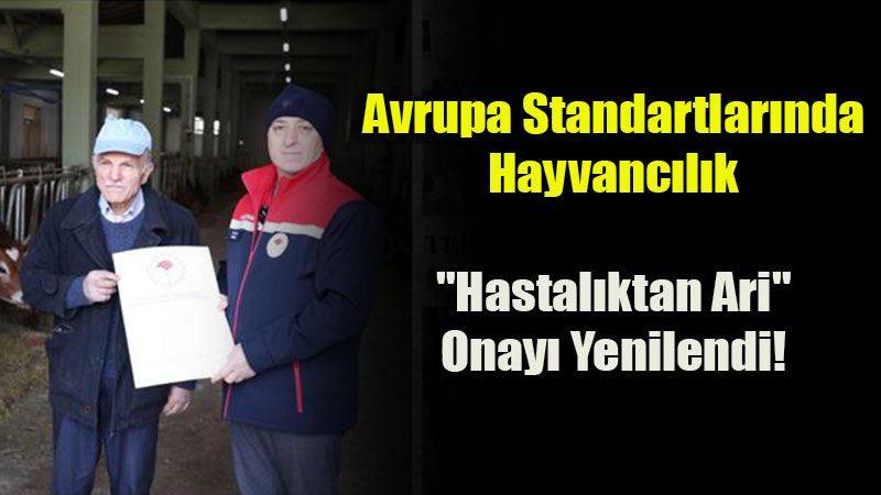 Eski�ehir Hayvanc�l���nda "Ari" Ba�ar�: Sertifika Yenilendi!