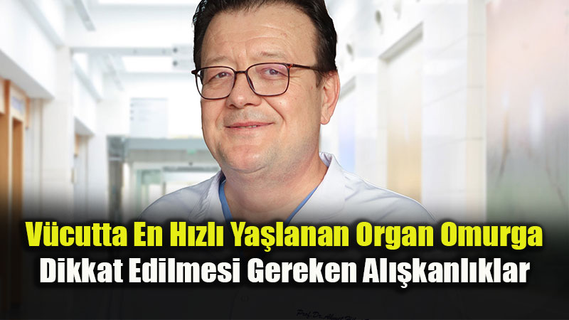 V�cutta En H�zl� Ya�lanan Organ Omurga: Dikkat Edilmesi Gereken Al��kanl�klar