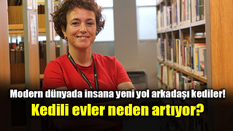 Modern D�nyada �nsan�n Yeni Yol Arkada��: Kediler!