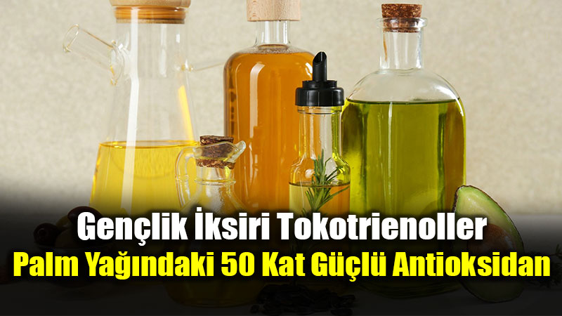 H�crelerin Paslanmas�n� �nleyen Kalkan: E Vitamininin Gizli G�c�