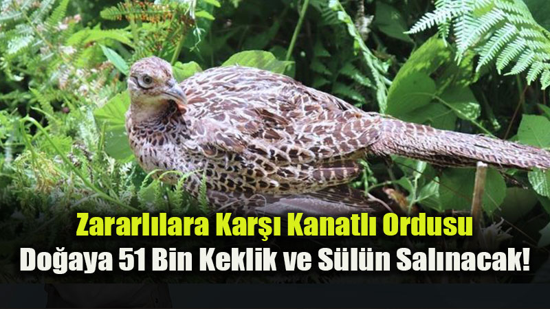 �etelere ve Zararl�lara Kar�� Do�al Koruma: 62 �lde Kanatl� Seferberli�i Ba�lad�