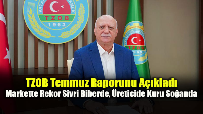 Temmuz Ayı Gıda Bilançosu: Karpuz Düşüşte, Sivri Biber Yükselişte