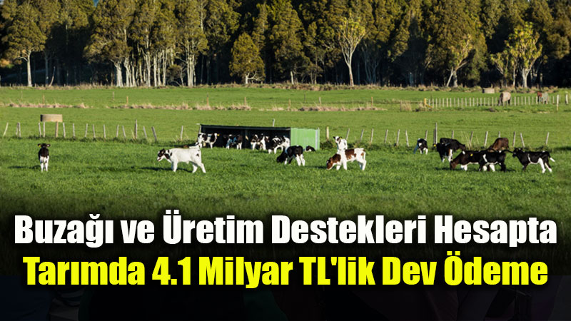 Bakan Yumaklı Duyurdu: 4.1 Milyar Liralık Tarımsal Destek Çiftçilerin Hesabında!