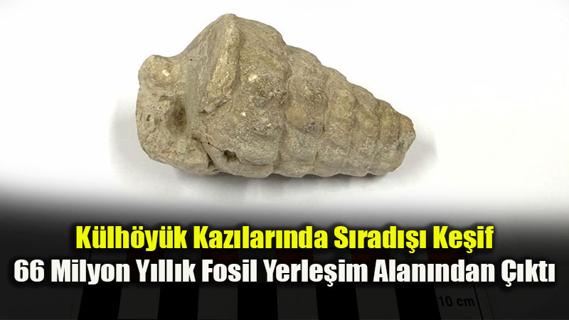 Külhöyük Kazılarında Heyecan Veren Keşif: 66 Milyon Yıllık Fosil Bulundu!