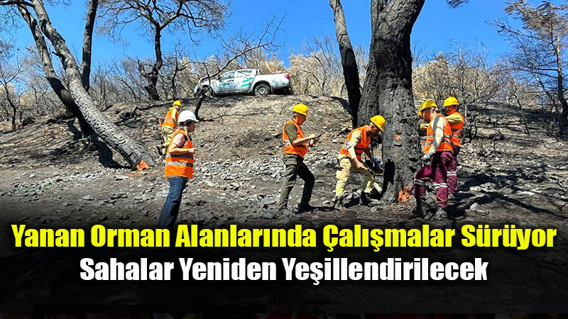 Yanan Orman Alanlarında Temizlik Ve Ağaçlandırma Çalışmaları Sürüyor