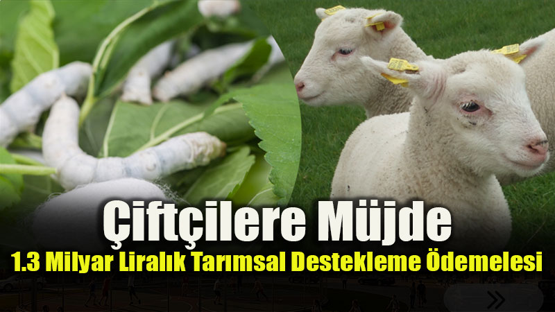Bakan Yumaklı Duyurdu: 1 Milyar 363 Milyon TL’lik Tarımsal Destek Başladı