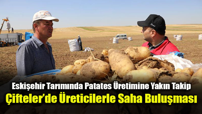 Çifteler’de Patates Hassas İncelemede: Bakanlık Yetkilileri Sahaya İndi